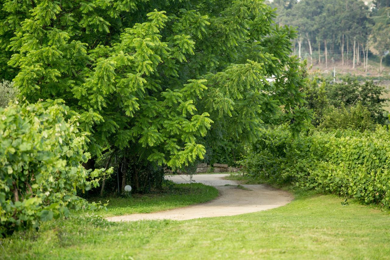 Гостьовий будинок Quinta De Lourosa Лозада Екстер'єр фото