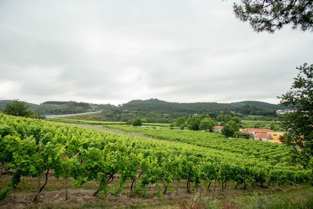 Гостьовий будинок Quinta De Lourosa Лозада Екстер'єр фото